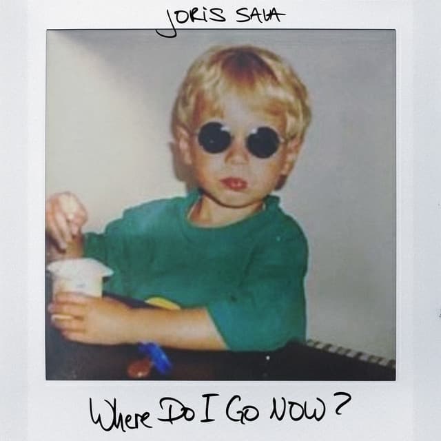 Where Do I Go Now? – Joris Sava